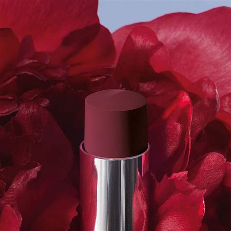 dior 883 lipstick|dior transfer proof lipstick.